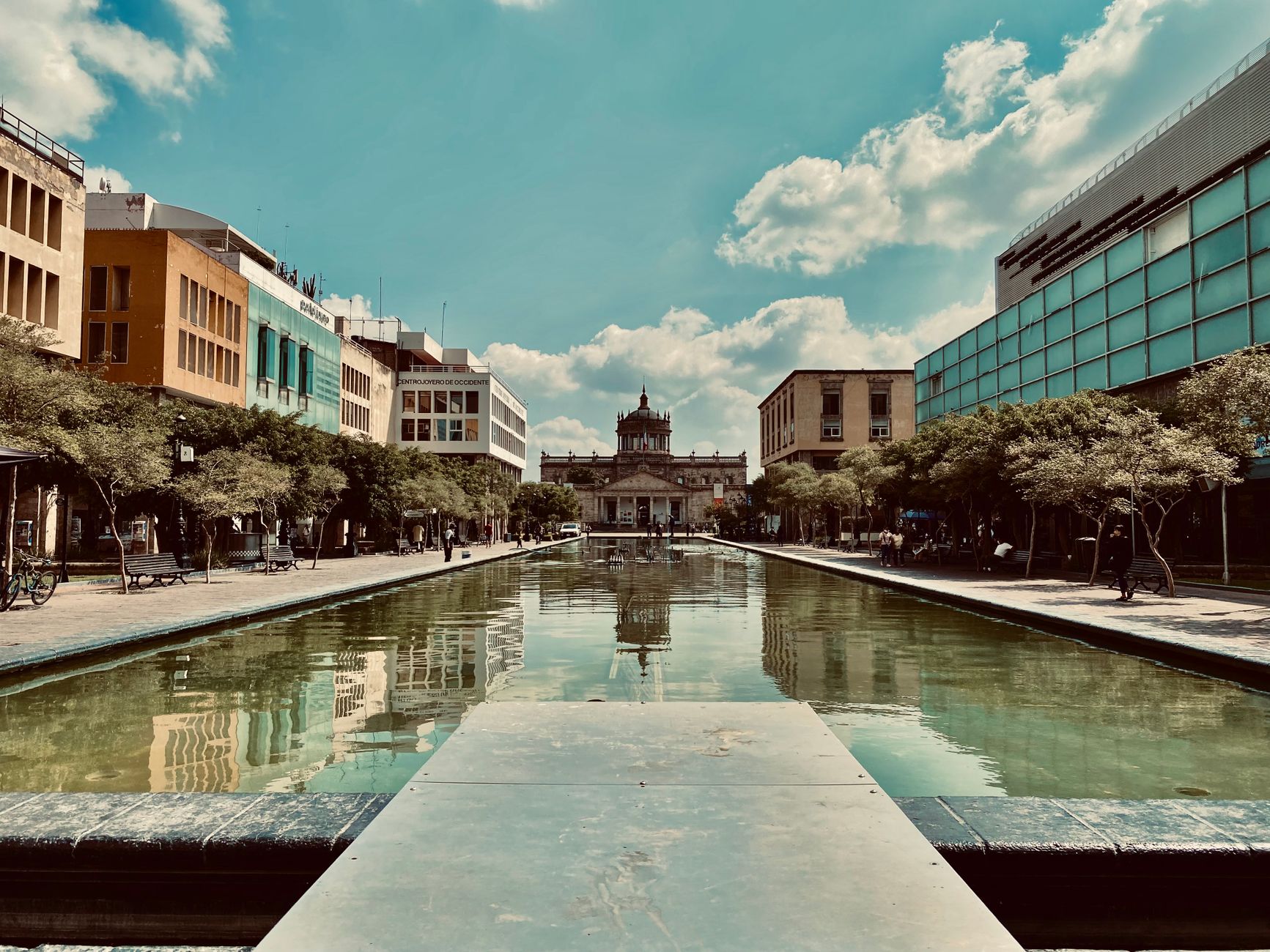 Avenida Chapultepec — the city's weekend living room