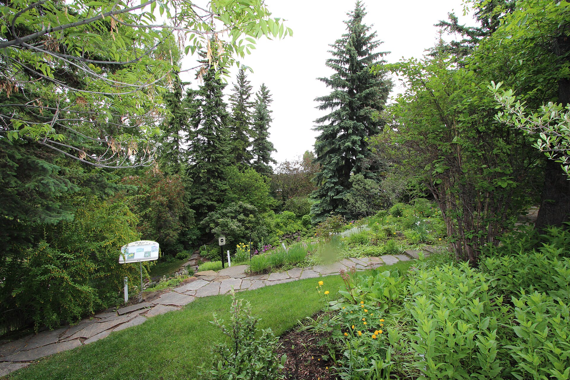 Reader Rock Garden