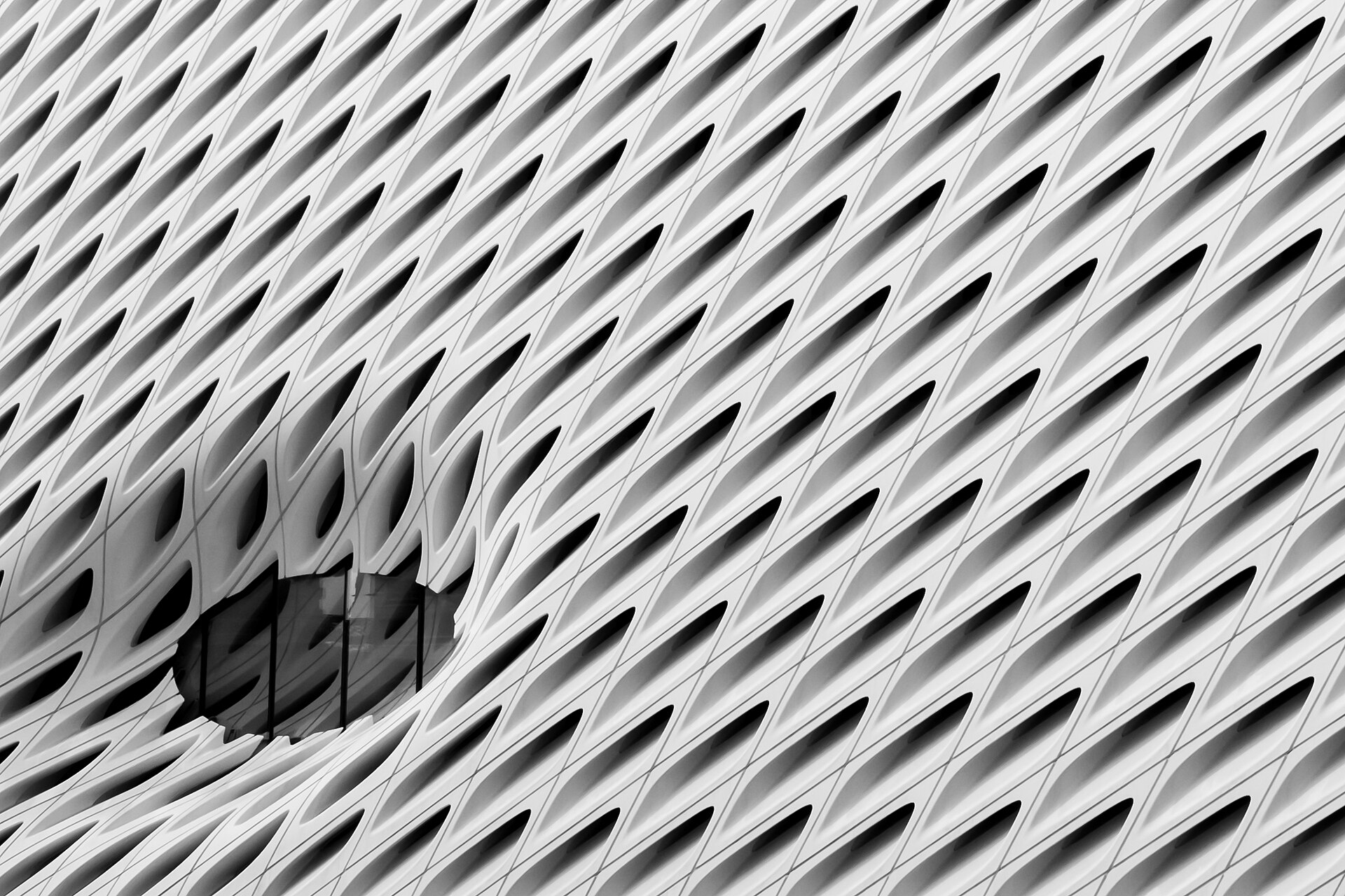 The Broad