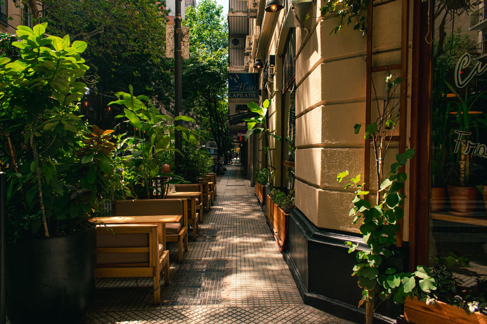 Café de la Plaza (Güemes)
