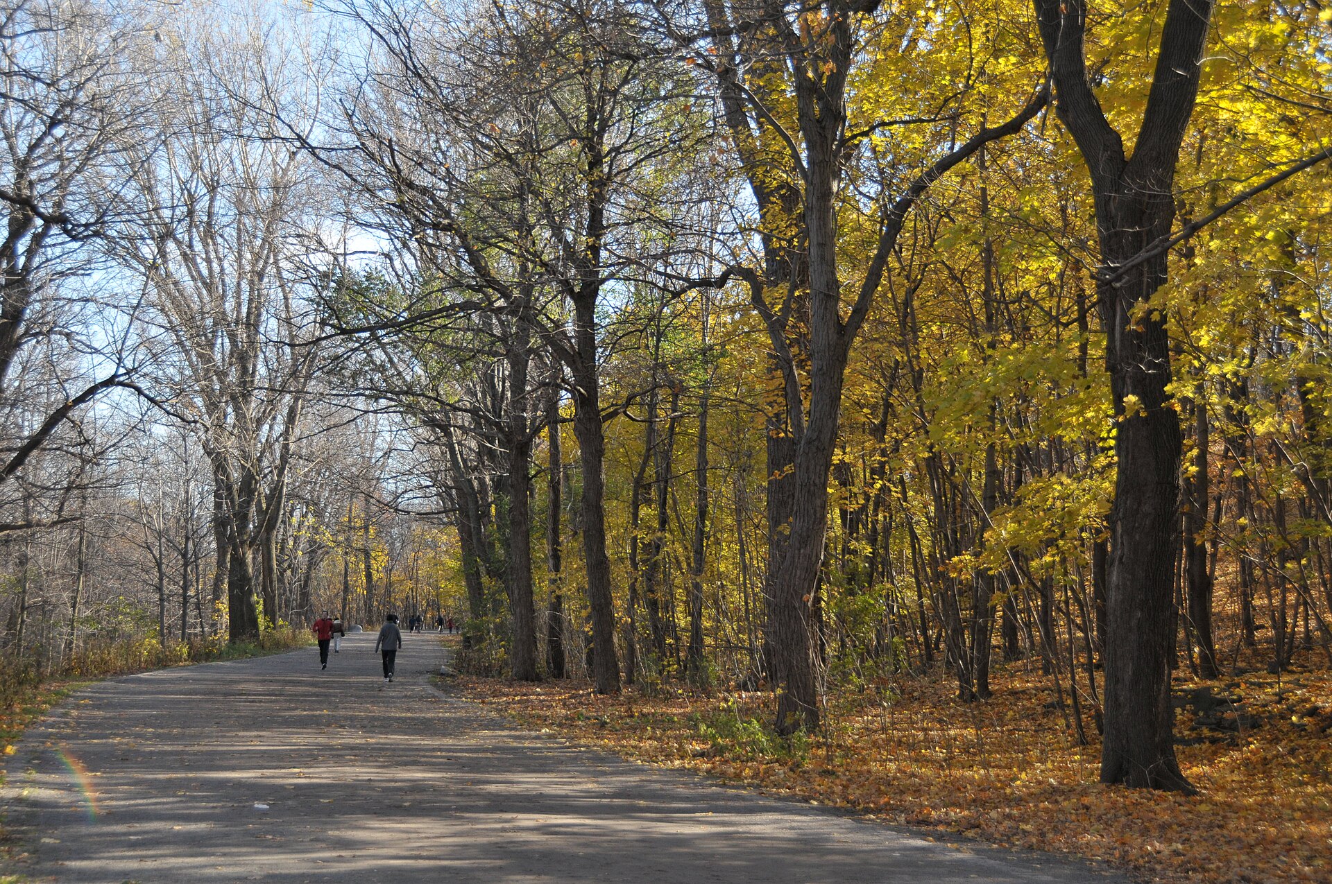 Mount Royal Park — Olmsted's green crown